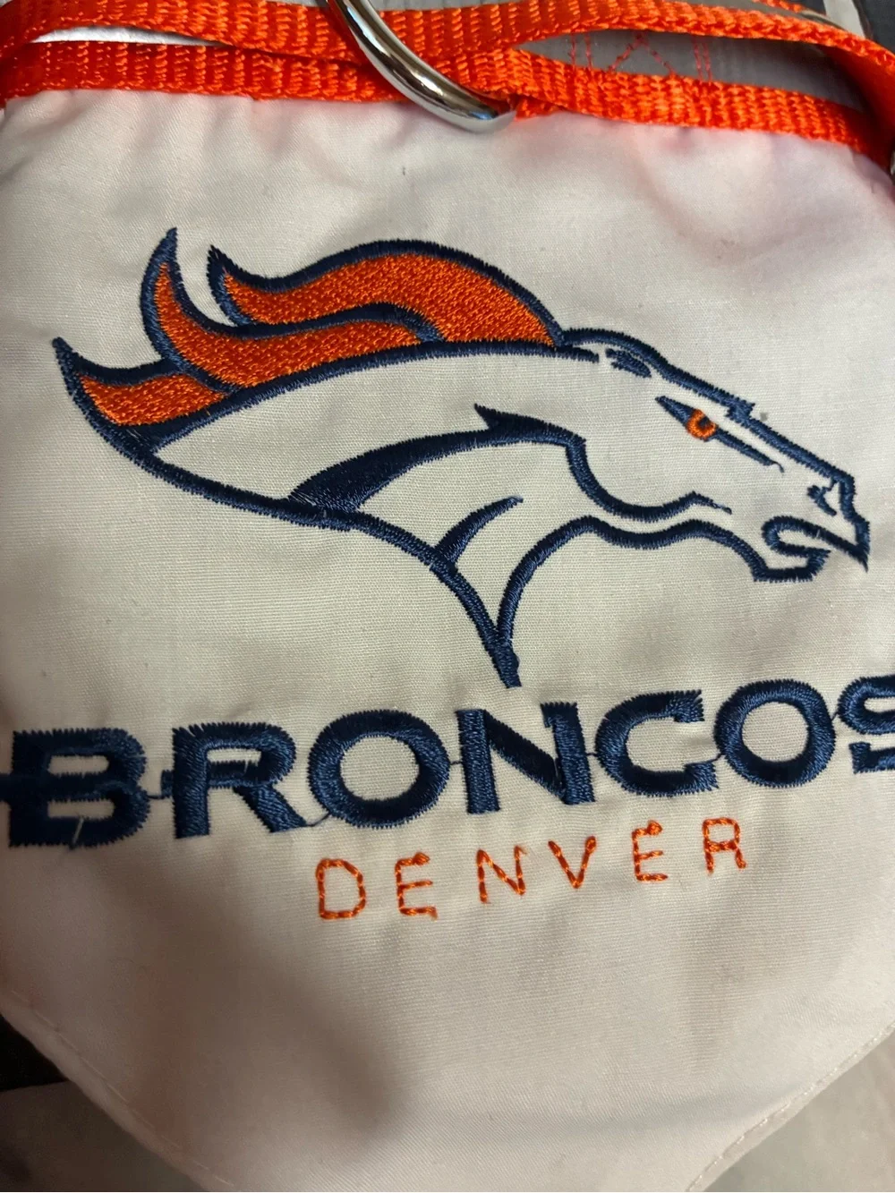 Denver Broncos Reflective Collar with Bandana